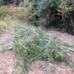 20131127_124347.jpeg
